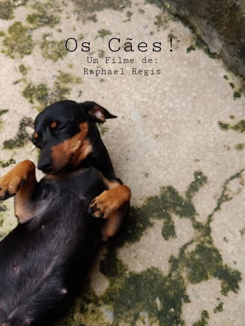 Постер: Os Cães!