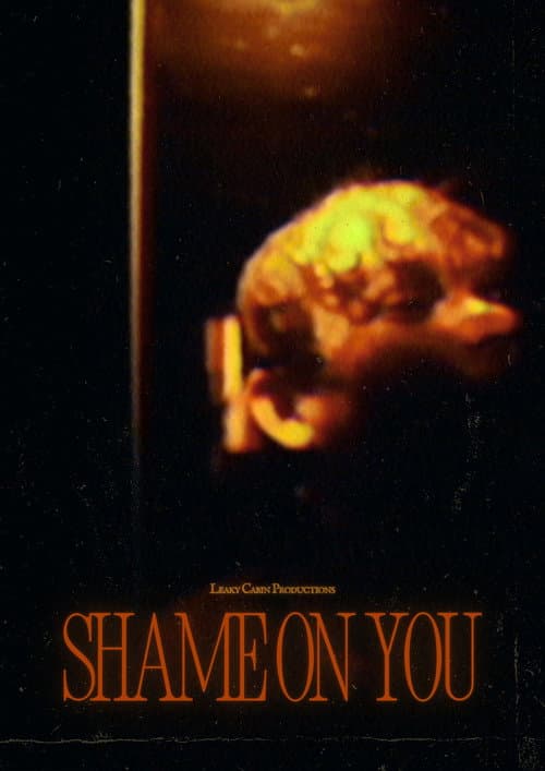 Постер: Shame on You
