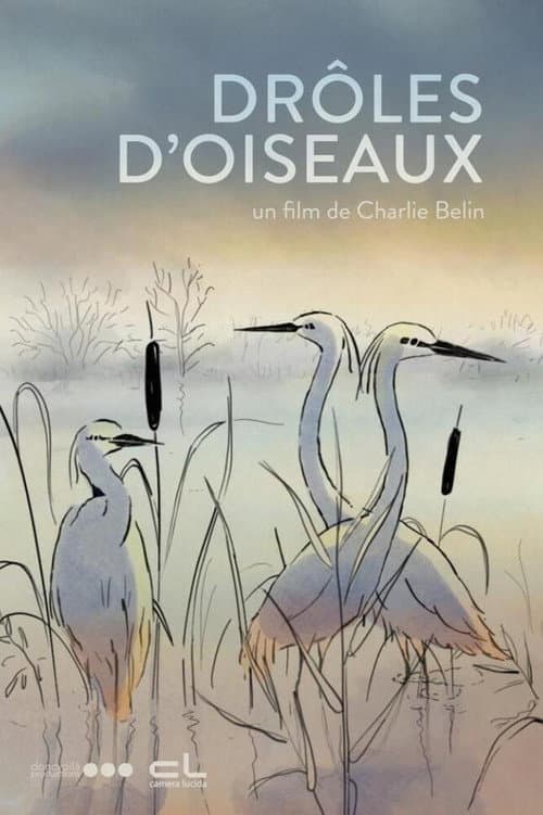 Постер: Drôles d'oiseaux