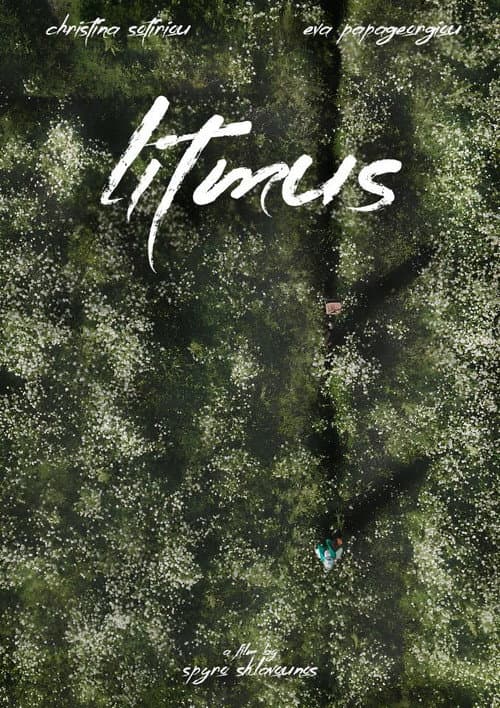Постер: Litmus
