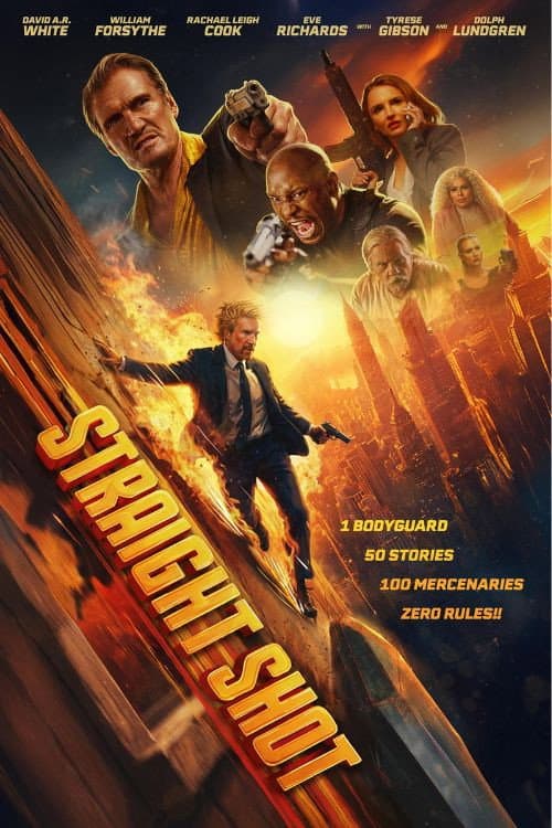 Постер: Straight Shot