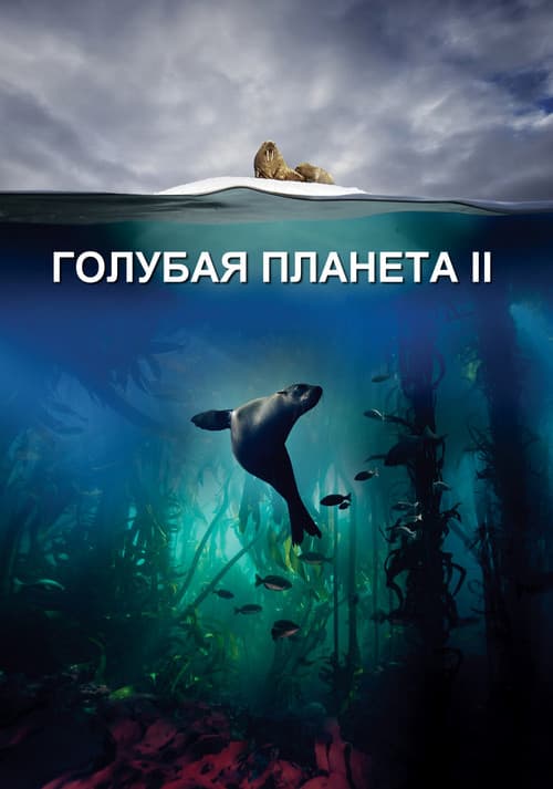 Кадр 3