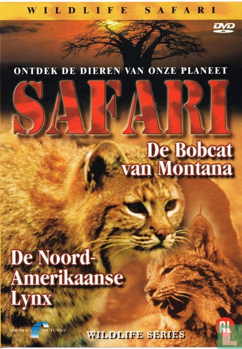Постер: Safari: De Bobcat van Montana / De Noord-Amerikaanse Lynx