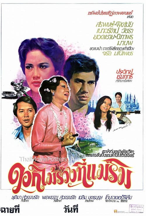 Постер: ดอกไม้ร่วงที่แม่ริม
