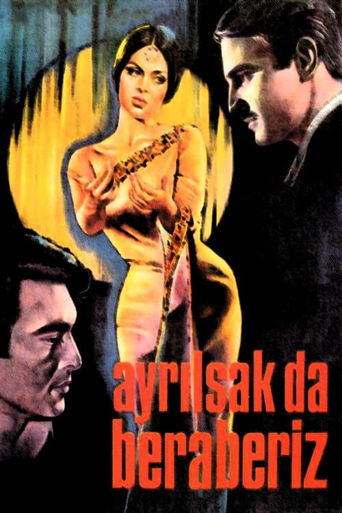 Постер: Ayrılsak da Beraberiz