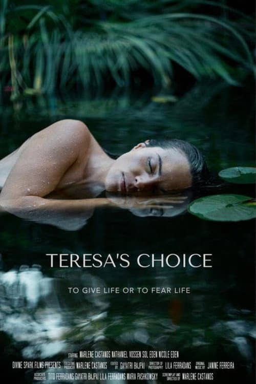 Постер: Teresa's Choice
