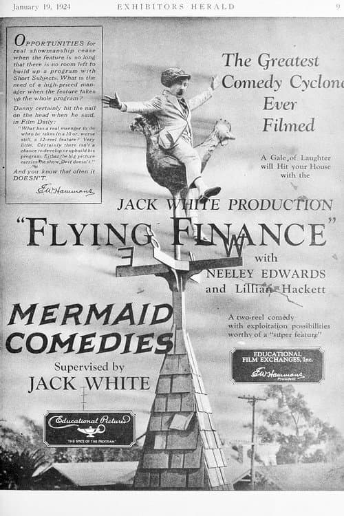 Постер: Flying Finance