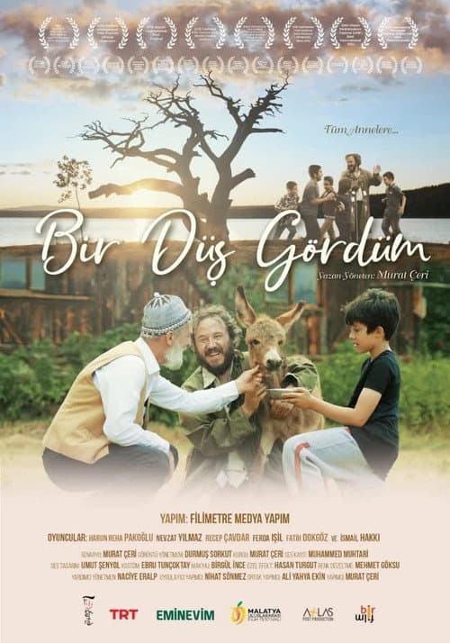 Постер: Bir Düş Gördüm