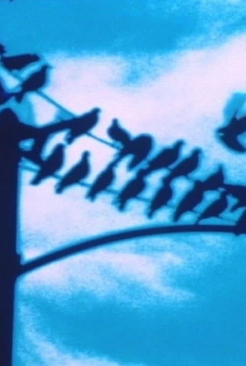 Постер: Faultlines