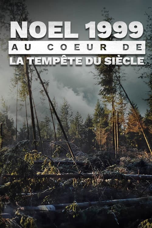 Постер: Noël 1999 : Au coeur de la tempête du siècle