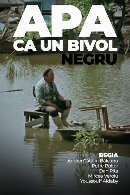 Постер: Apa ca un bivol negru
