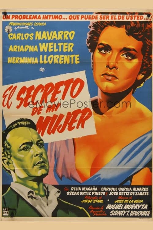 Постер: El secreto de mi mujer