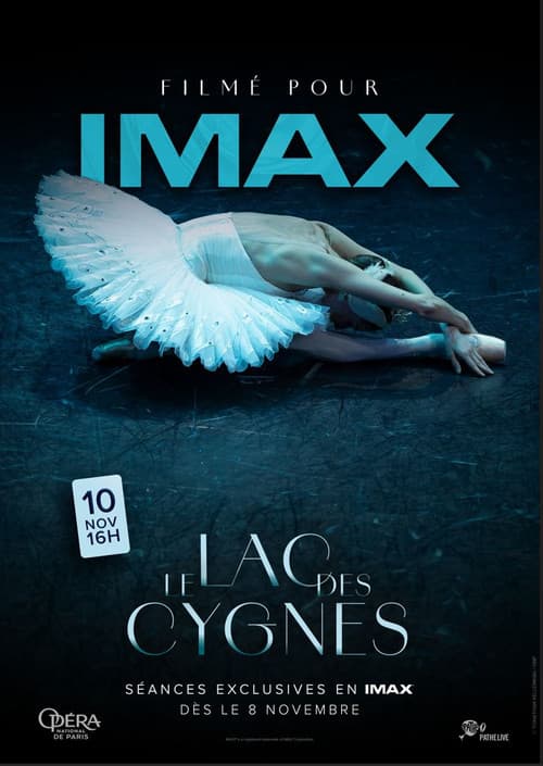 Постер: Le Lac des cygnes - Filmé pour IMAX