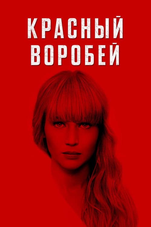 Постер 6