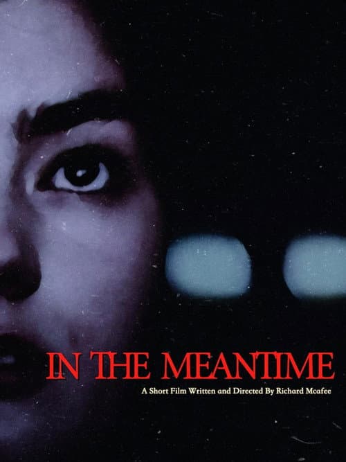 Постер: In the Meantime