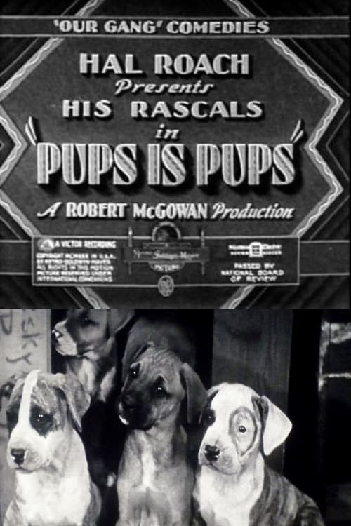 Постер: Pups Is Pups