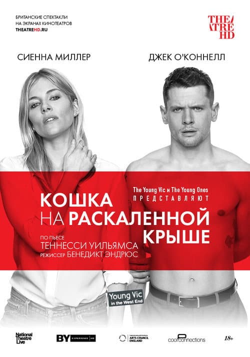 Постер: Кошка на раскалённой крыше