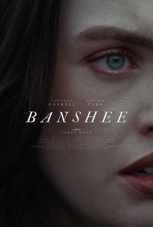 Постер: Banshee