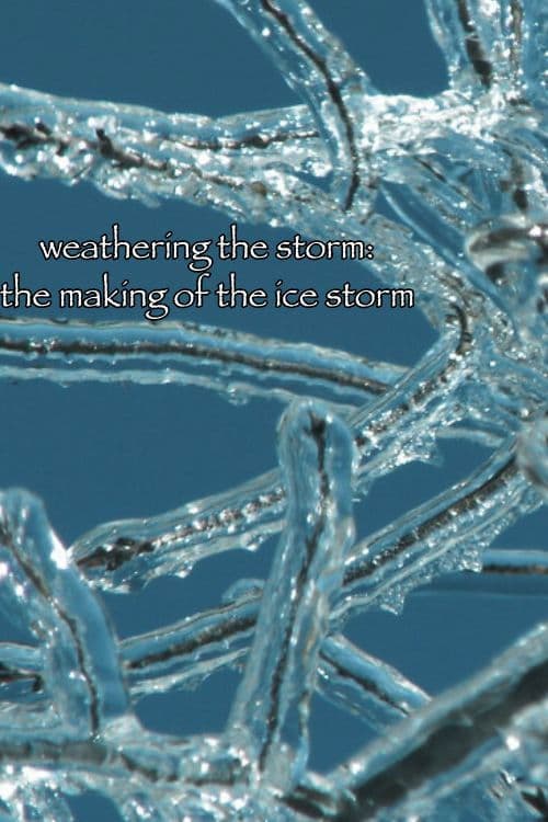 Постер: Weathering the Storm: The Making of The Ice Storm
