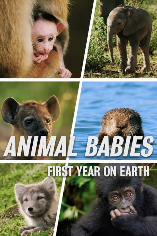 Постер: Animal Babies: First Year On Earth