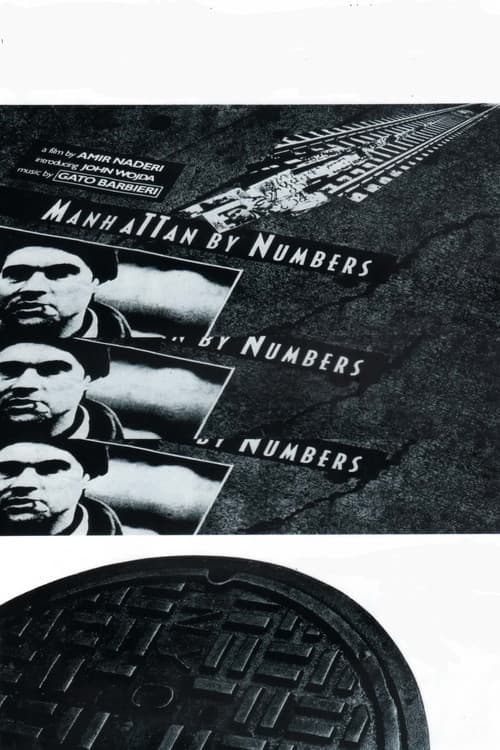 Постер: Manhattan by Numbers