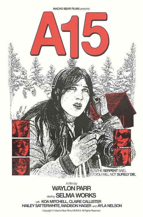 Постер: A15