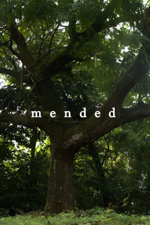 Постер: Mended