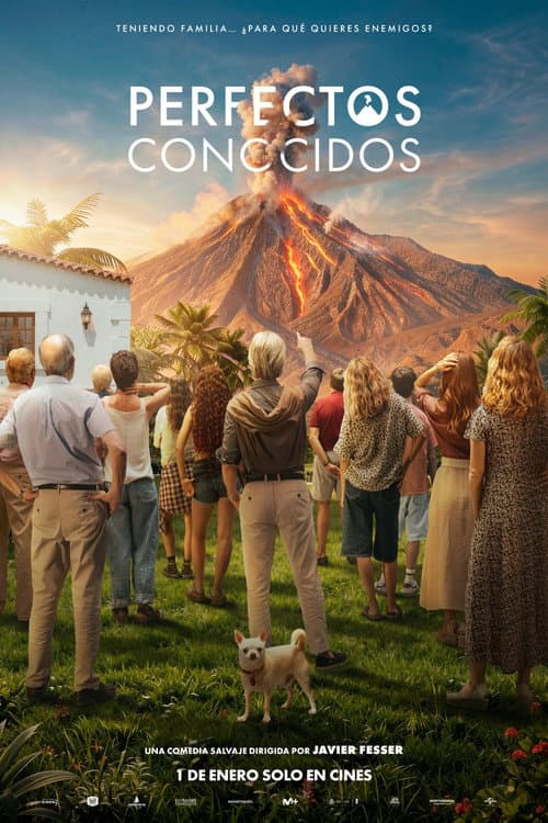 Постер: Perfectos conocidos