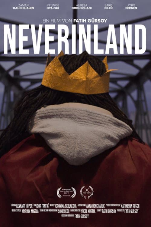 Постер: Neverinland