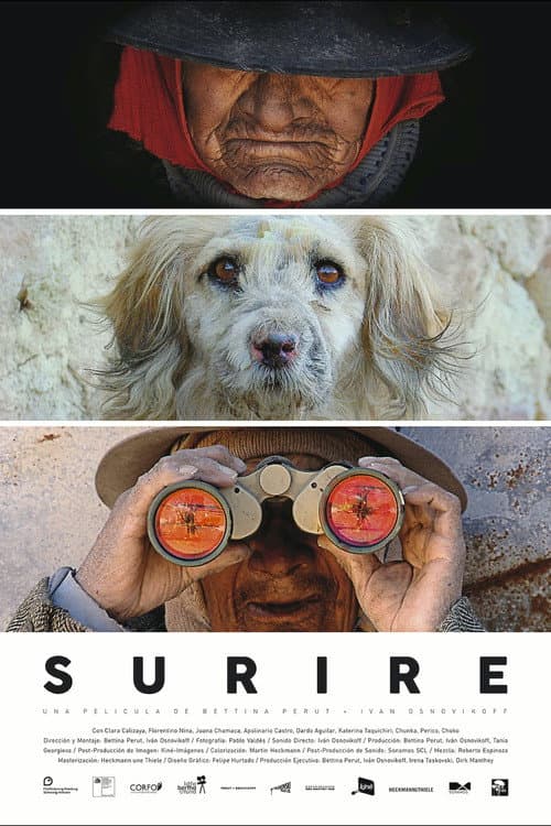 Постер: Surire