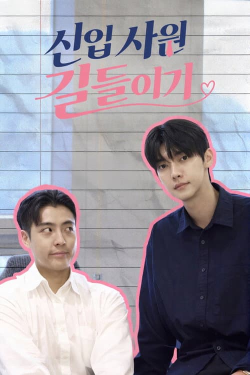 Постер: 신입사원 길들이기