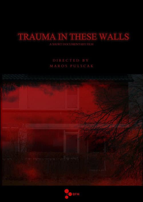 Постер: Trauma in These Walls