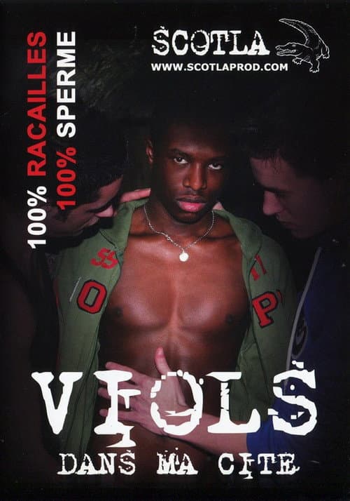 Постер: Viols dans ma cité