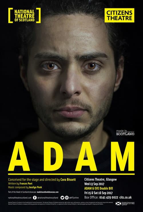 Постер: Adam