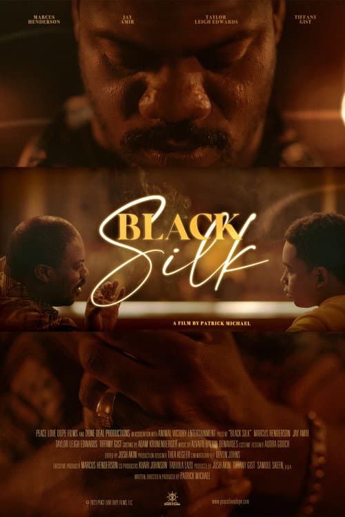 Постер: Black Silk
