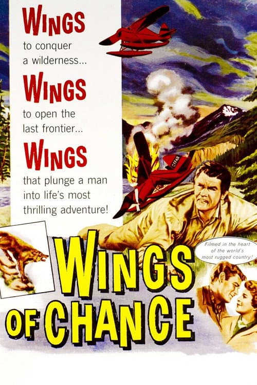 Постер: Wings of Chance