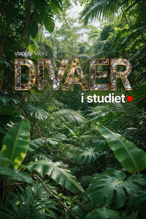 Постер: Divaer i studiet