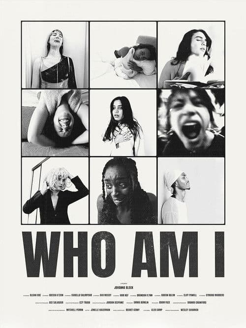 Постер: Who Am I?