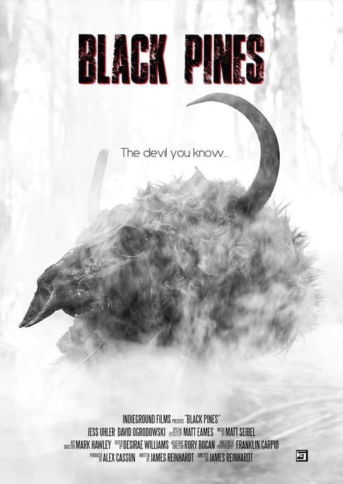 Постер: Black Pines