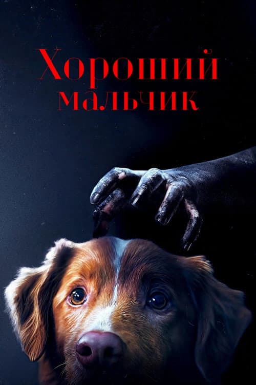 Постер 3