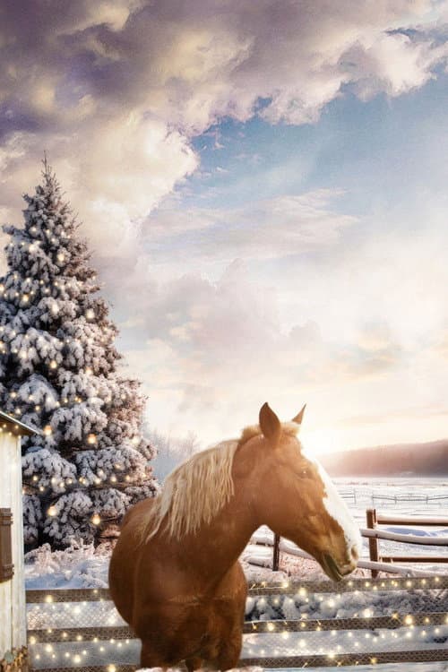 Постер: December Horses
