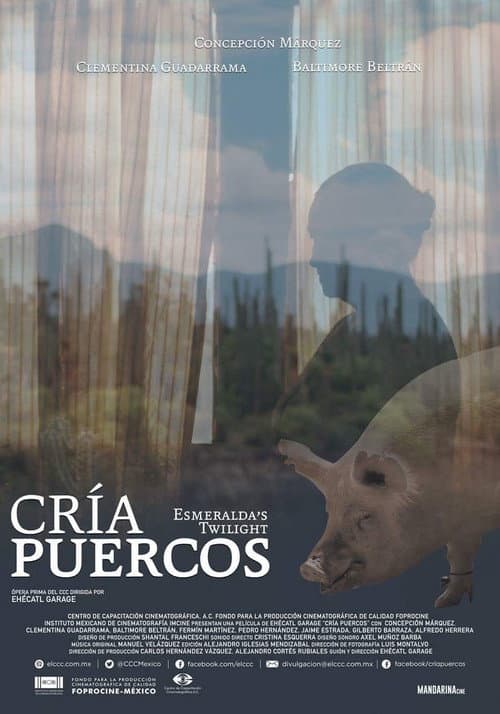 Постер: Cría puercos