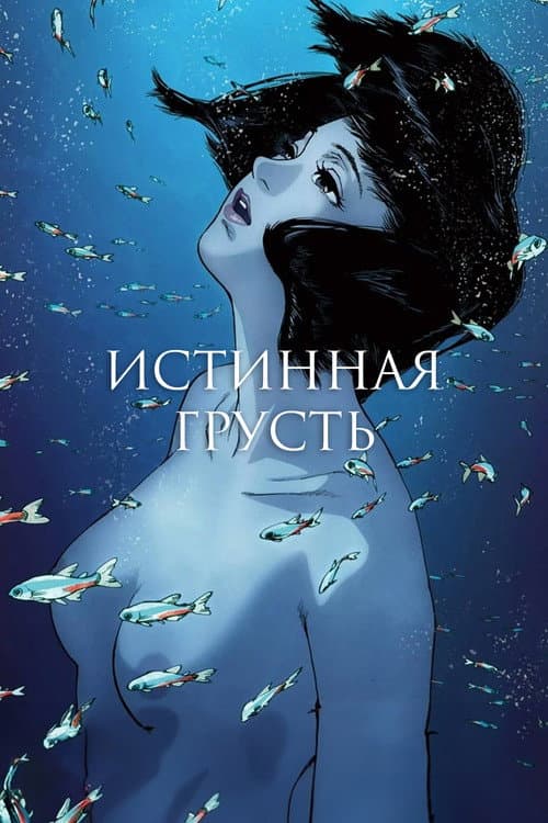 Кадр 5