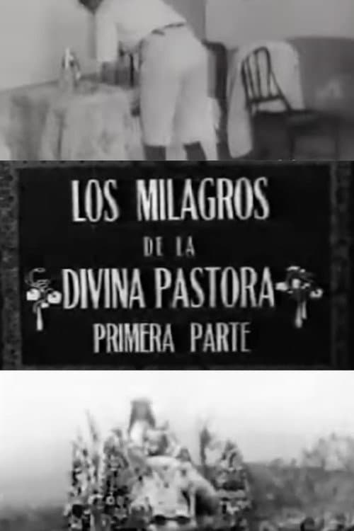 Постер: Los milagros de la Divina Pastora