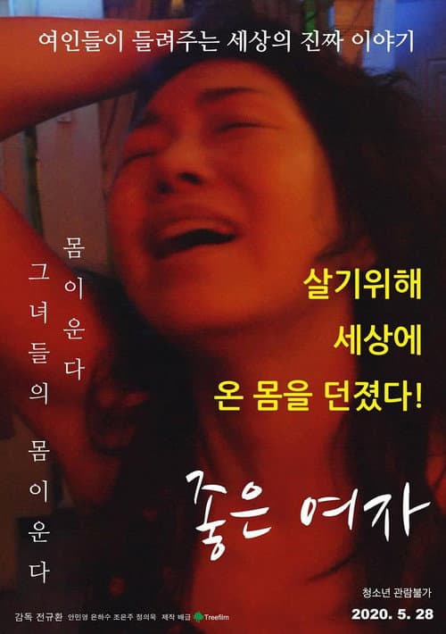 Постер: 좋은 여자