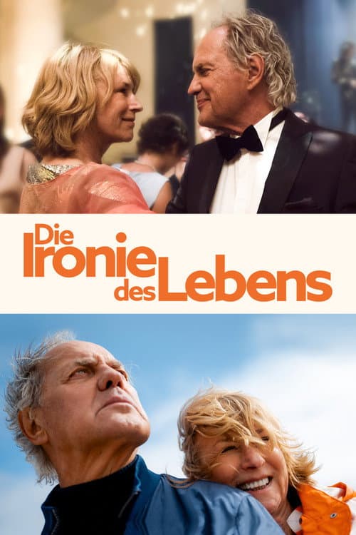 Постер: Die Ironie des Lebens