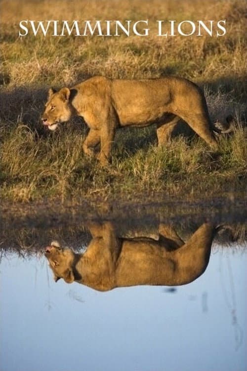Постер: Swimming Lions
