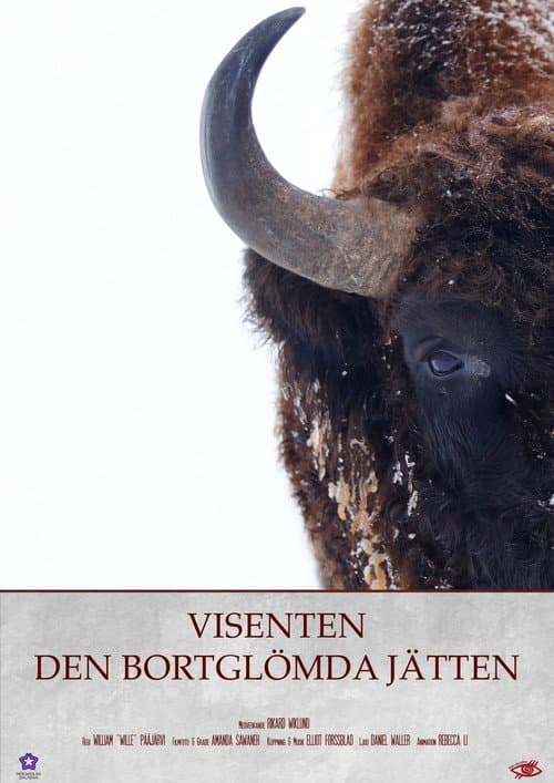 Постер: Visenten - Den Bortglömda Jätten