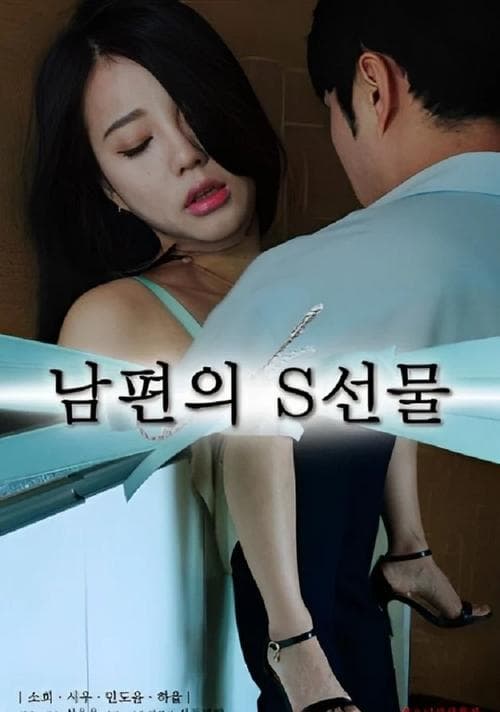Постер: 남편의 S선물