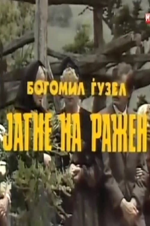Постер: Јагне на ражен